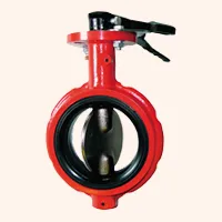 Butterfly Valve Ahmedabad from Gujarat