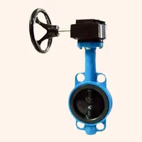 Global Safety Butterfly Valve India