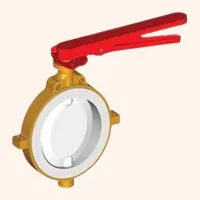 Global Safety Butterfly Valve Supplier
