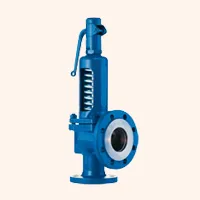 Safety Valves Supplier and Exporter
