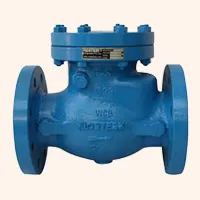 Swing Check Valves Exporter in Ahmedabad